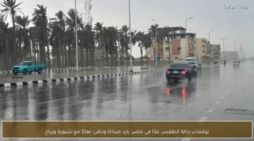 حالة الطقس في مصر غدًا: طقس بارد صباحًا ودافئ نهارًا مع رياح وشبورة